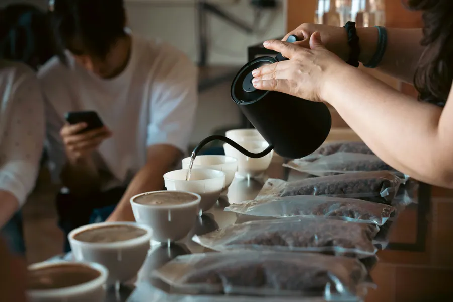 Hands pouring hot water from a gooseneck kettle into coffee cupping bowls