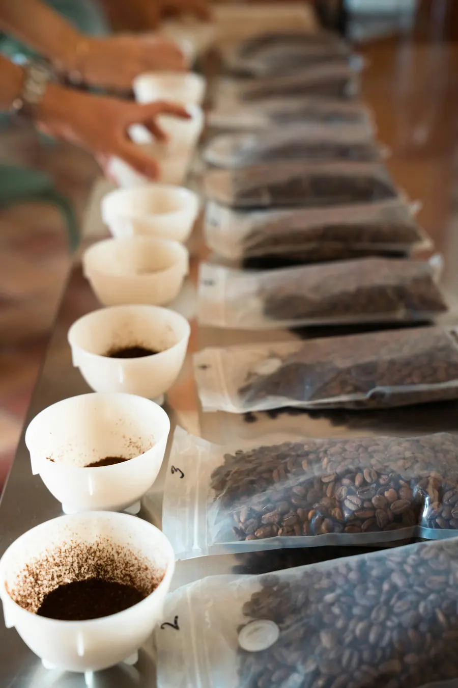 White cupping bowls beside numbered bags of roasted coffee samples