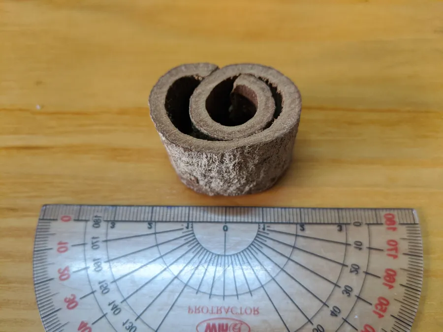 A rolled cinnamon bark sample from Bac Tra My beside a ruler