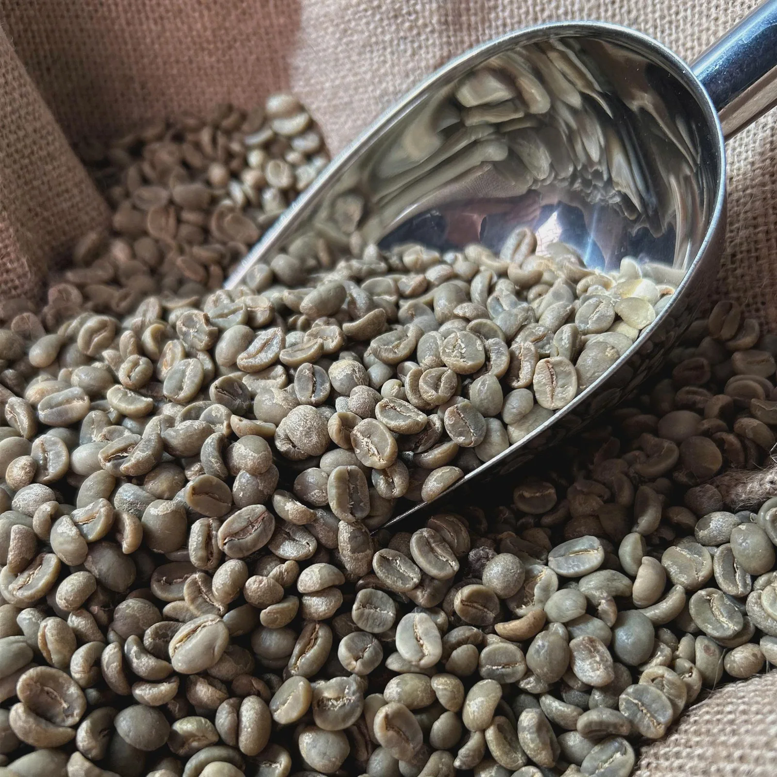 Green coffee beans, representative product photography