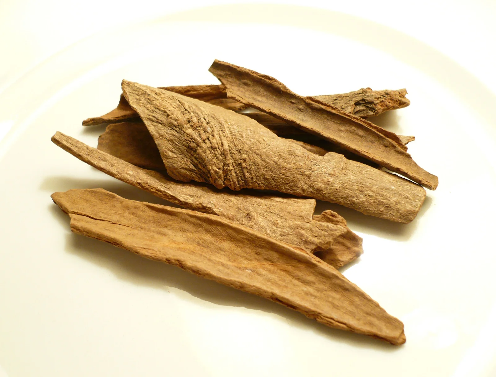 Pieces of Saigon cinnamon bark